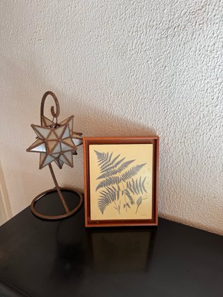 Pareja cuadros botánicos helechos vintage madera