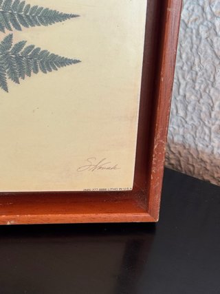 Pareja cuadros botánicos helechos vintage madera