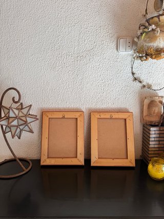 Pareja cuadros botánicos helechos vintage madera