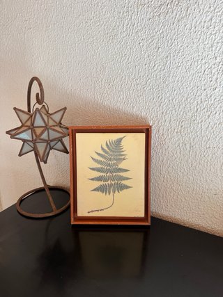 Pareja cuadros botánicos helechos vintage madera