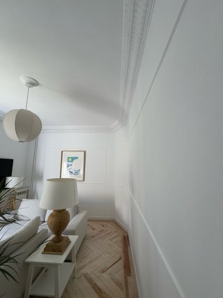 Pintor profesional Madrid