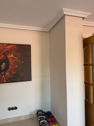 Pintor profesional Madrid