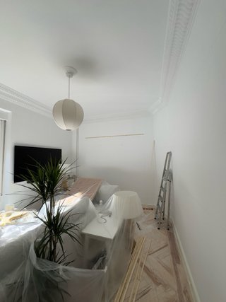 Pintor profesional Madrid