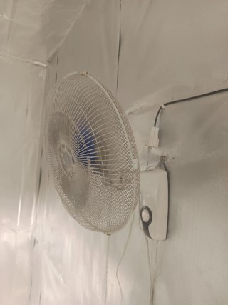 Ventilador de pared blanco y azul
