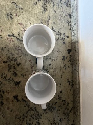 Juego de 2 tazas de café con rosas