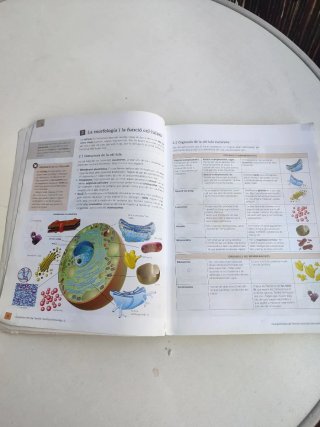 Biologia i geologia, ESO 3