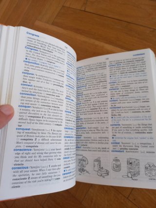 Horizon diccionario didáctico de inglés inglés/...
