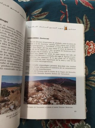 Ruta de los torreones