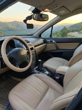 Peugeot 407