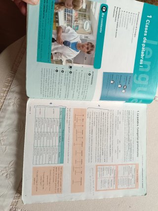 Lengua castellana y Literatura 1 Bachillerato