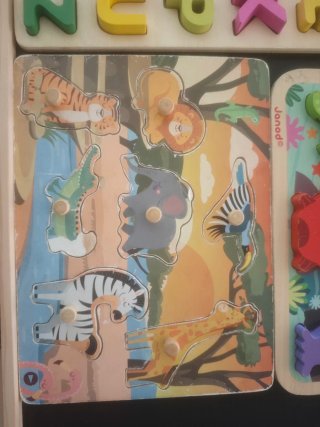 Seis Puzzles de madera educativos