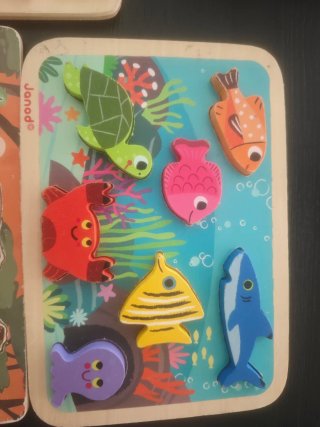 Seis Puzzles de madera educativos