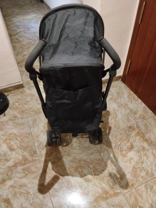 Carro de paseo Trotter Plus