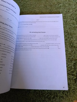 Burlington Practice Tests B2
