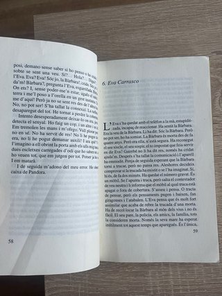 Libro Paraules Emmetzinades
