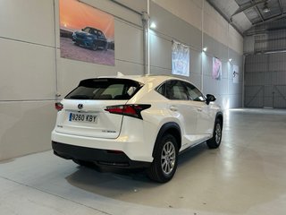 Lexus NX 2017