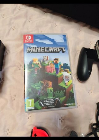 Nintendo Switch + Accessori + Minecraft