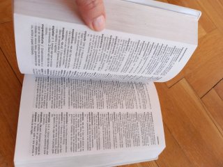 Diccionario de lengua española esencial