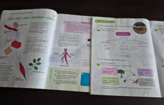 CIENCIAS DA NATUREZA 5 PRIMARIA CONSTRUINDO MUNDOS