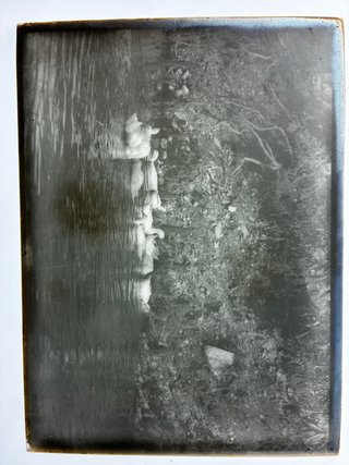 Opalotipo japonés(fotografía)periodo Meiji IX
