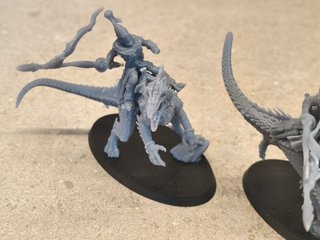 Exoditas