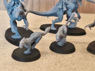 Exoditas