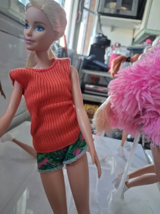 Lote 6 Barbies con soporte
