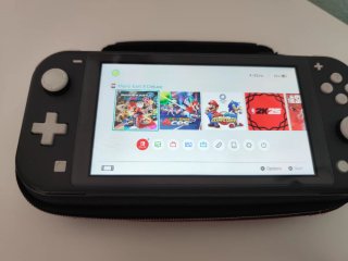 Nintendo Switch Lite Grigio + Custodia