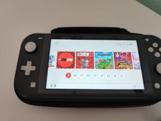 Nintendo Switch Lite Grigio + Custodia