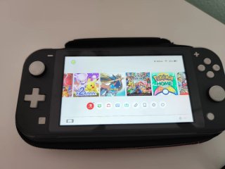Nintendo Switch Lite Grigio + Custodia