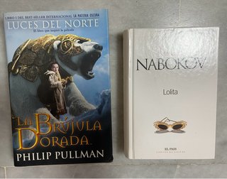 Lote de libros 2