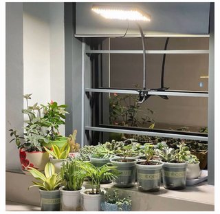 Lámpara LED FECiDA 200W Clip para Plantas