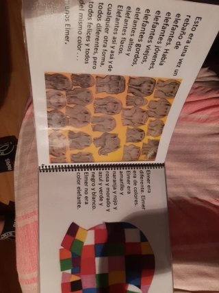 Libro infantil Elmer David Mckee