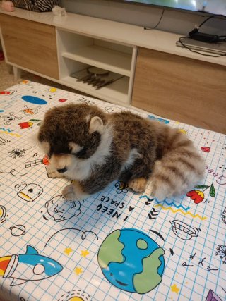 Peluche mapache suave