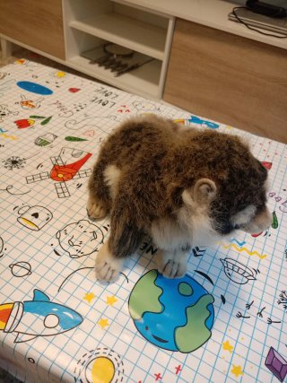 Peluche mapache suave