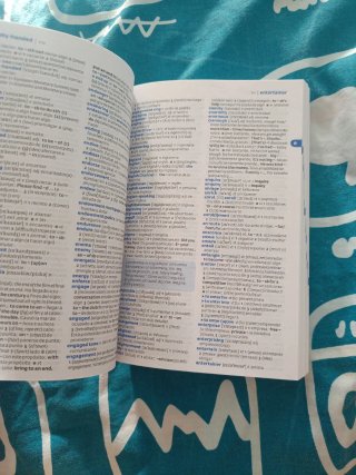 Diccionario Pocket Plus Inglés (Pocket Plus): D...