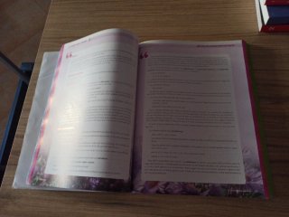 Lengua castellana y literatura 2 bachillerato