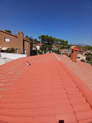 Limpieza y pintura de tejas