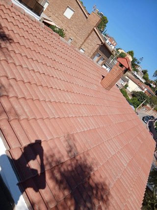 Limpieza y pintura de tejas