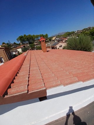 Limpieza y pintura de tejas