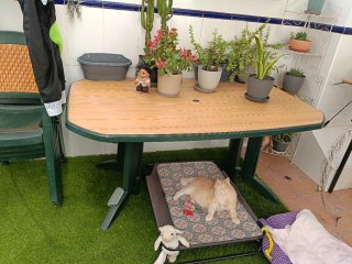Conjunto mesa de terraza de resina y 4 sillas