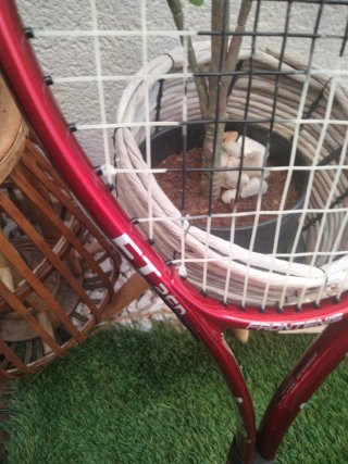 Raqueta Frontenis Prince FR Red Seminueva