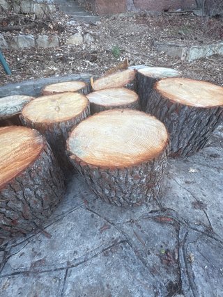 Tocones de madera de pino para decorar