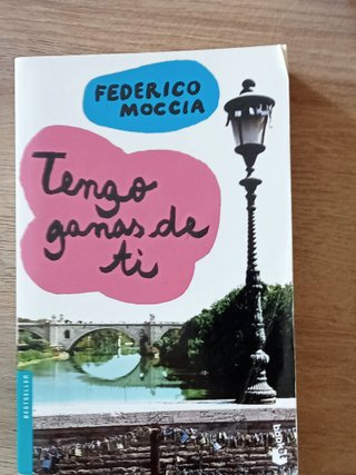 DIARIO BRIDGET, REBECA, GANAS DE TI....