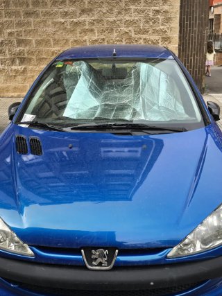 Peugeot 206 2005