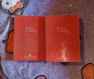 Lote libros Pepita Jiménez, Rojo y negro Colección