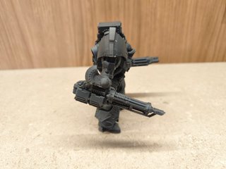 Telemon Custodes