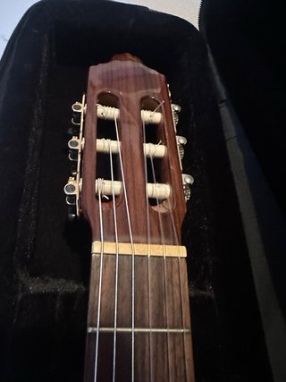 Guitarra Tanglewood TSC110 con funda