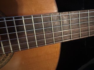 Guitarra Tanglewood TSC110 con funda