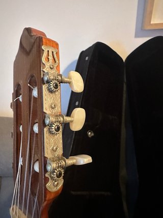 Guitarra Tanglewood TSC110 con funda
